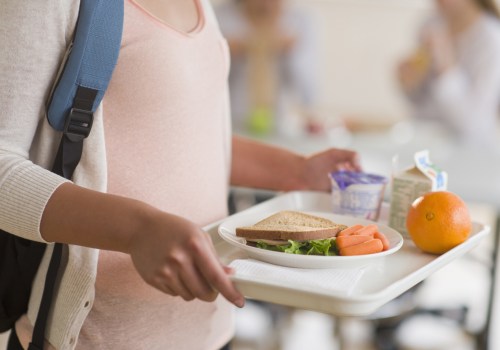 The Impact of Free and Reduced Lunch Programs on Public Schools in Hennepin County, MN: An Expert's Perspective